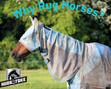Why Rug Horses?