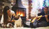 Why Pets Are More Food-Oriented During Winter