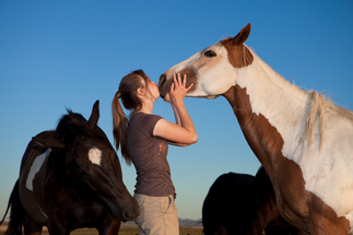5 Ways To Use Horse Treats to Help giving Your Horse Supplements or Medicine.