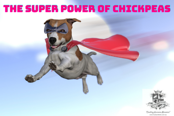 Are Chickpeas Good for Dogs? 6 Health Benefits