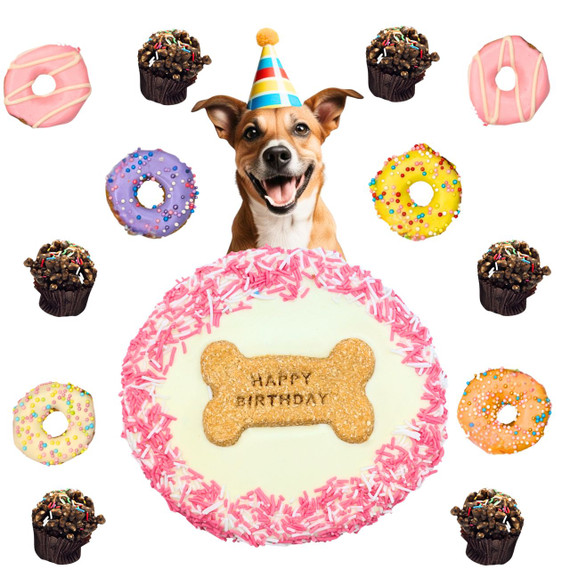 Puppy Birthday Party Pack - Gourmet DOG Treat MIX (back view), Australian made dog treats by Huds and Toke