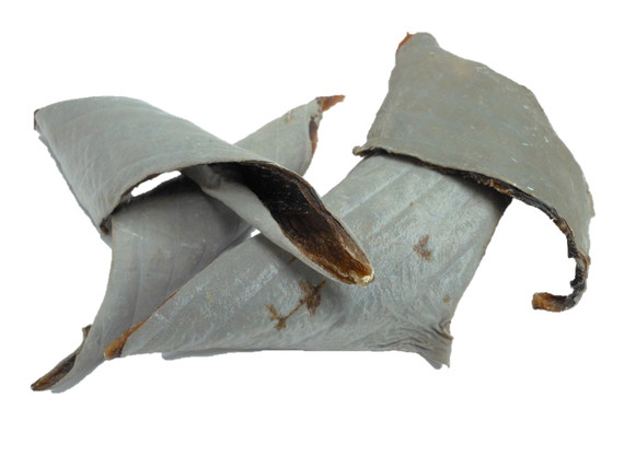 Australian Fish Hide - Small, Australian made pet treats by Huds and Toke
