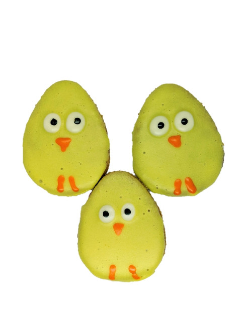 Easter Big Chicken Dog Cookies Dog Treats 30pce - Bulk Pack — Australian made dog treats by Huds and Toke