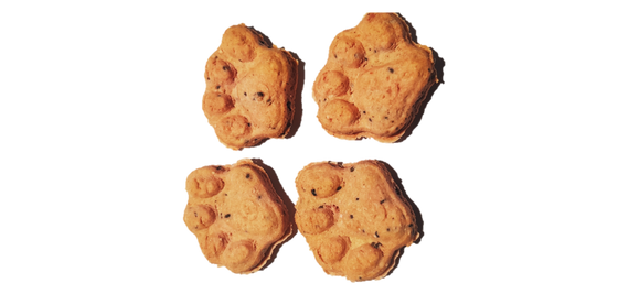 Omega Paws DOG Treats - Mackerel AND Chia Seed Grain-Free Cookies — Australian made dog treats by Huds and Toke