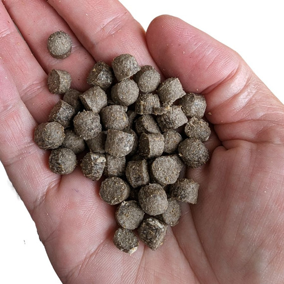 Little Insect Protein Bites - DOG Enrichment Treats - DOG Training Treats, Australian made dog treats by Huds and Toke