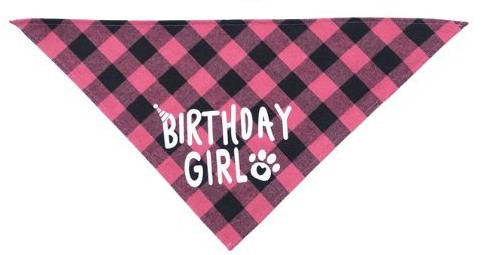 Birthday BOY OR Birthday Girl Checkered Bandana — Australian made pet treats by Huds and Toke