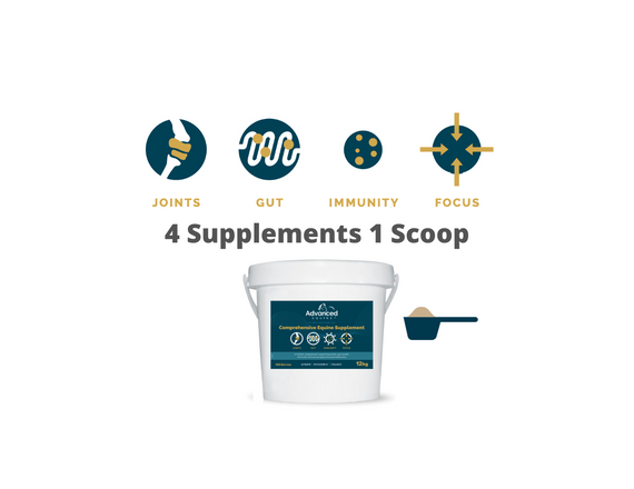 Advanced Equine – Comprehensive Equine Supplement (back view) — Australian made horse treats by Huds and Toke