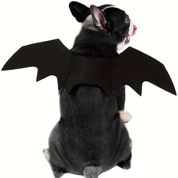 Halloween BAT Wings - Costume FOR Dogs or Cats (back view) — Australian made dog treats by Huds and Toke