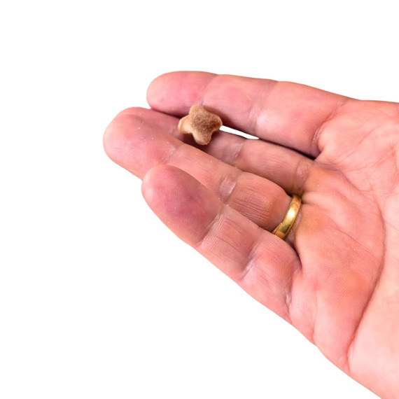 Huds and Toke - Training Treats