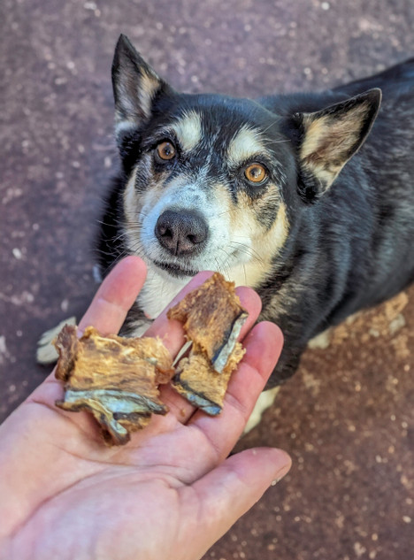 Australian Fish Nibble - DOG Treats, Australian made dog treats by Huds and Toke