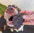 Kangaroo Jerky - Small - DOG Treats (lifestyle), Australian made dog treats by Huds and Toke
