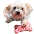 Large Love Bone - Valentines DOG Treat - DOG Treats (packaging), Australian made dog treats by Huds and Toke