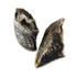 COW Hooves - Hoofs - 1KG - DOG Treats (lifestyle) — Australian made dog treats by Huds and Toke