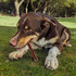Australian Bull Chew - Thin - Bull Whizzer - DOG Treats (close-up), Australian made dog treats by Huds and Toke