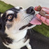Kangaroo Jerky Cubes - DOG Treats, Australian made dog treats by Huds and Toke