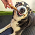 Chicken Sticks 13Cm - 25Pce - DOG Treats (packaging) — Australian made dog treats by Huds and Toke