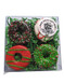 Christmas DOG Treat Gift Box- Christmas Doggy Donuts 4Pce (close-up) — Australian made dog treats by Huds and Toke