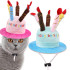 DOG or CAT Happy Birthday Cake Candle Party HAT (back view), Australian made dog treats by Huds and Toke