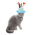 DOG or CAT Happy Birthday Cake Candle Party HAT (close-up) — Australian made dog treats by Huds and Toke