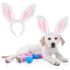 DOG Costume Easter Bunny Ears Headband (back view), Australian made dog treats by Huds and Toke
