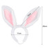 DOG Costume Easter Bunny Ears Headband (close-up) — Australian made dog treats by Huds and Toke