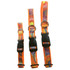 Orange DOT ART DOG Collar - Made IN Australia (packaging), Australian made dog treats by Huds and Toke