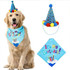DOG Colourful POM POM Party HAT AND Bandana SET (lifestyle) — Australian made dog treats by Huds and Toke