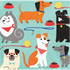 Green DOG Themed Party Accessories (detail), Australian made dog treats by Huds and Toke