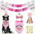 Glitter DOG Birthday Party Supplies Pack - Pink OR Blue (close-up), Australian made dog treats by Huds and Toke