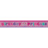 DOG OR CAT Birthday Princess Foil Banner, Australian made dog treats by Huds and Toke