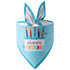 Happy Birthday Blue Bandana, Australian made pet treats by Huds and Toke