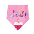 It'S MY Birthday Cupcake Bandana Pink , Blue AND Light Blue (back view), Australian made pet treats by Huds and Toke