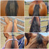 Advanced Equine, Comprehensive Equine Supplement (packaging), Australian made horse treats by Huds and Toke