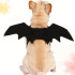 Halloween BAT Wings - Costume FOR Dogs or Cats (packaging) — Australian made dog treats by Huds and Toke