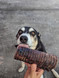 Ultimate DOG Treat Bundle - DOG Treats (detail), Australian made dog treats by Huds and Toke