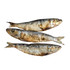 Australian Whole Sardines - DOG Treats (top view) — Australian made natural Seafood dog treats by Huds and Toke