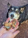 Australian Fish Nibble - DOG Treats, Australian made dog treats by Huds and Toke