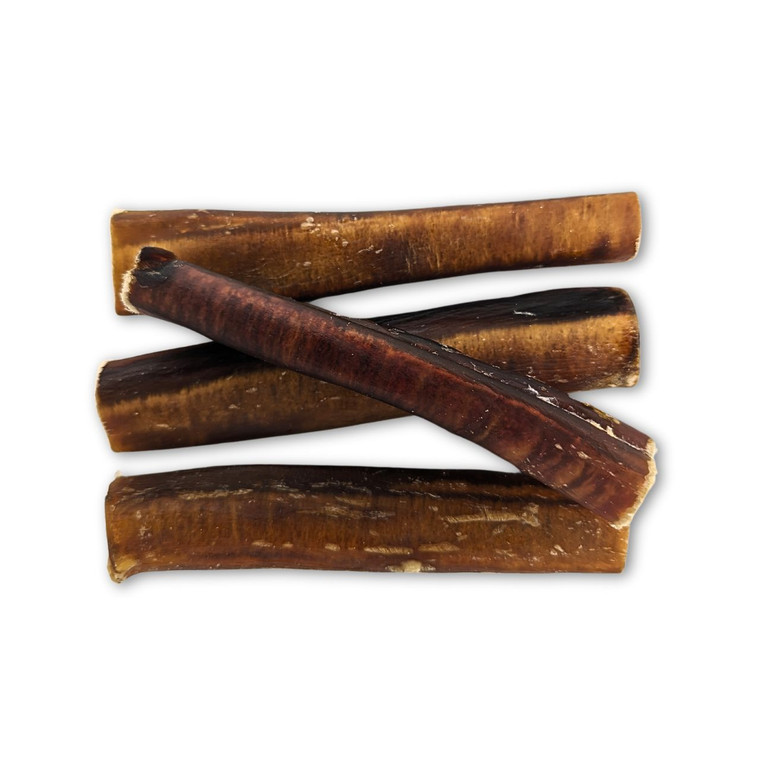 Thick Bull Chews are a long lasting All Natural Beef Dog Treat. Healthy and great value. Your Dogs will be entertained for days with one of these Treats