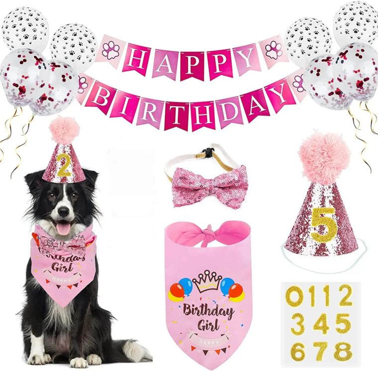 Dog Puppy Party Pack - Pink Glitter