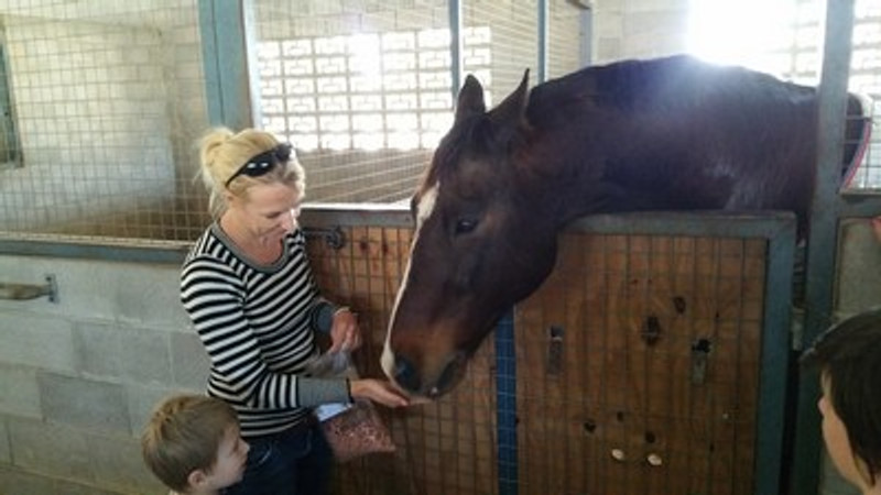 Wet Weather and Horses