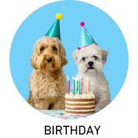 dog birthday, dog birthday bandana, dog birthday hat, dog birthday party, puppy party