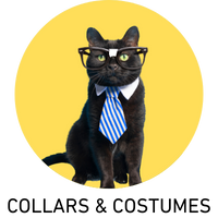 cat collars, cat costumes, cat dress up