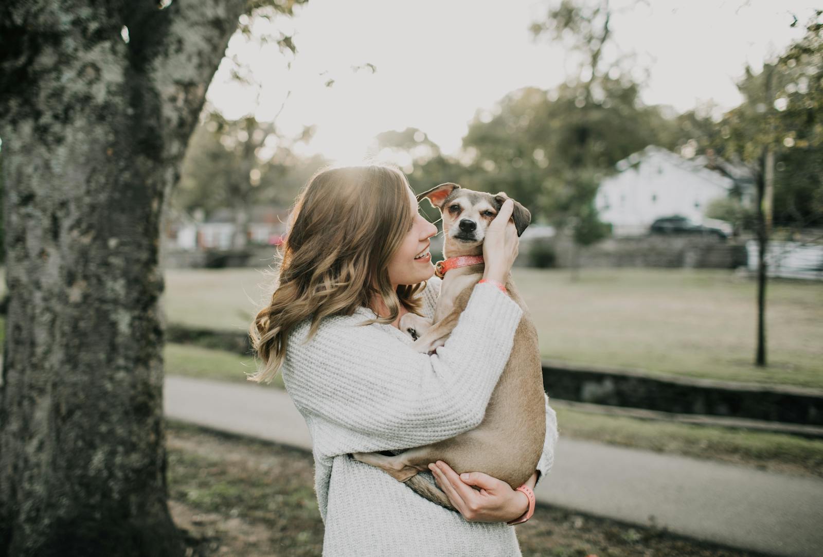 Young woman in a cream knit cardigan laughing joyfully while cuddling her small rescue dog in a sunlit park.