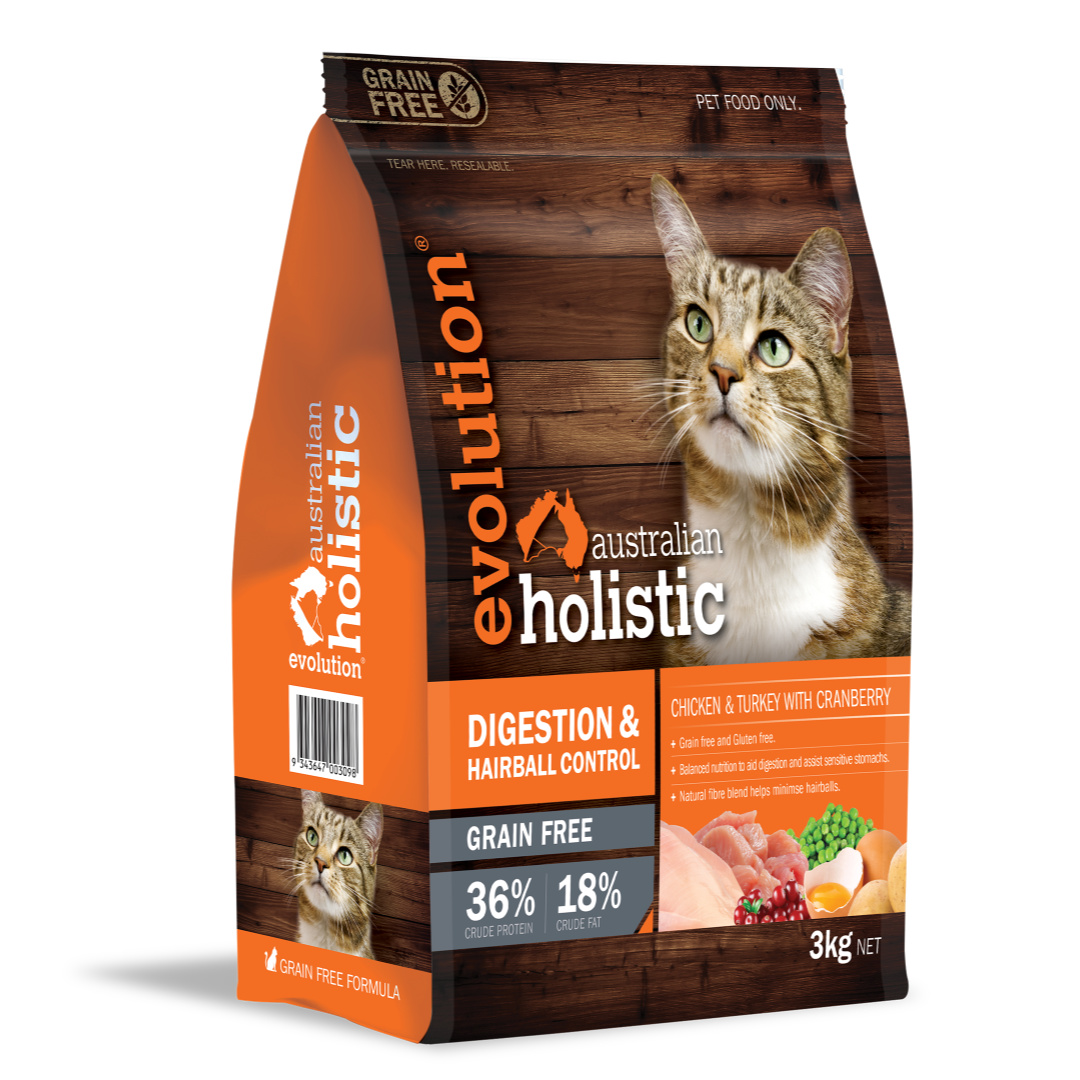 pregnant persian cat food