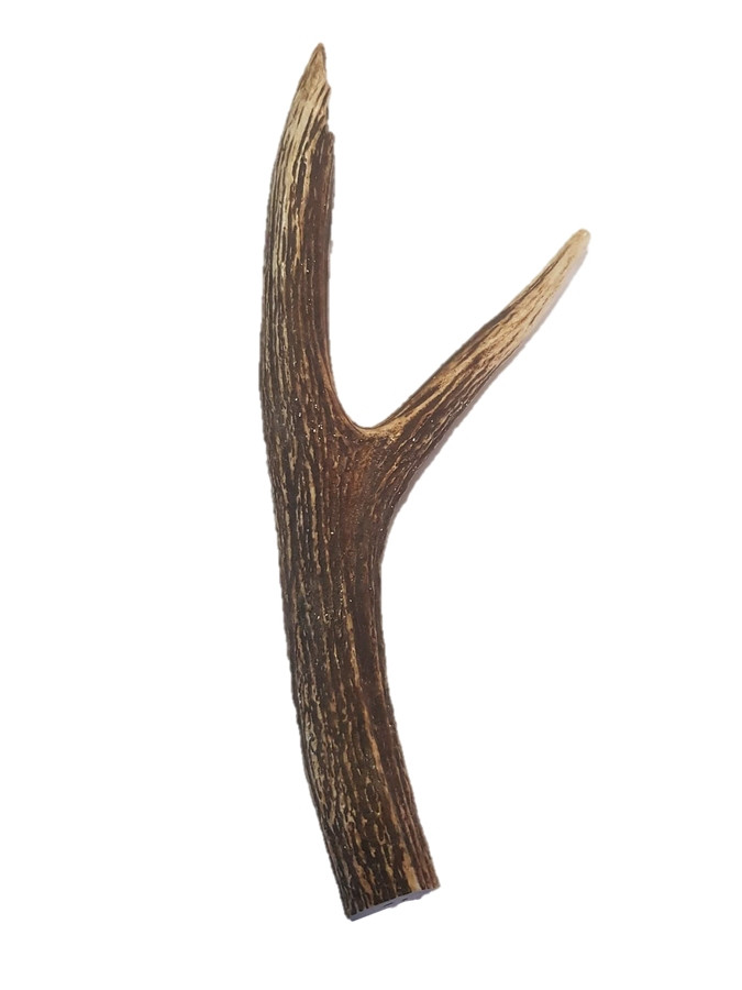 are deer antlers for dogs treated