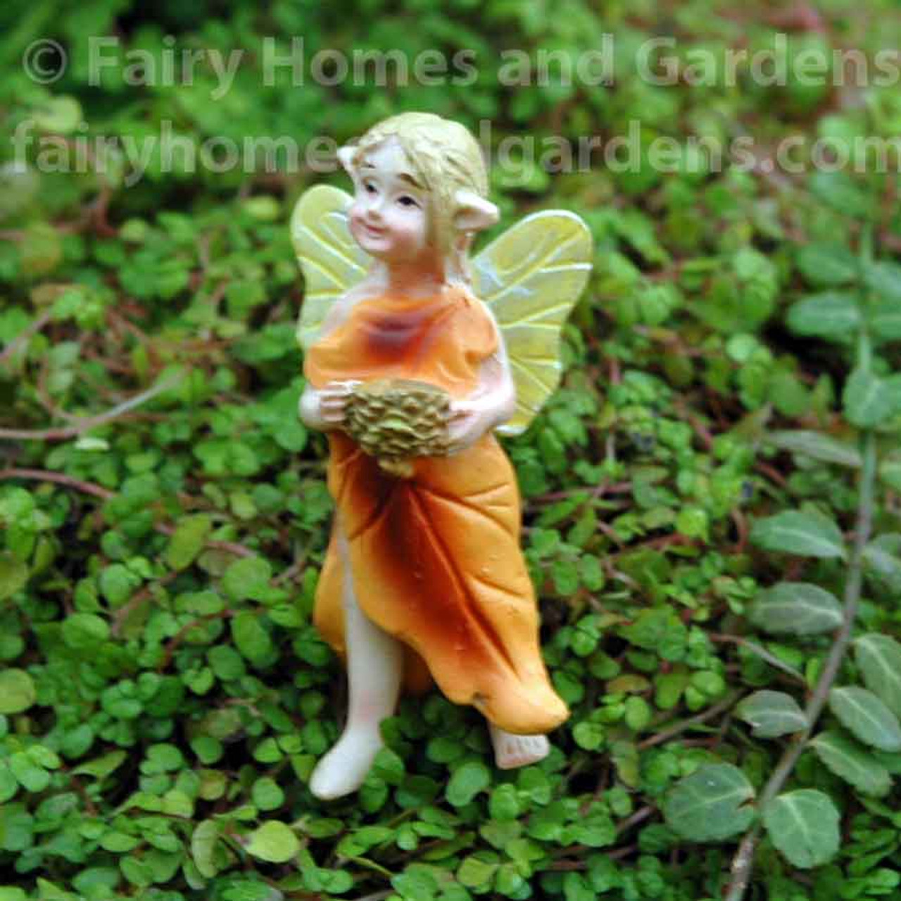 Pin on Fairy garden