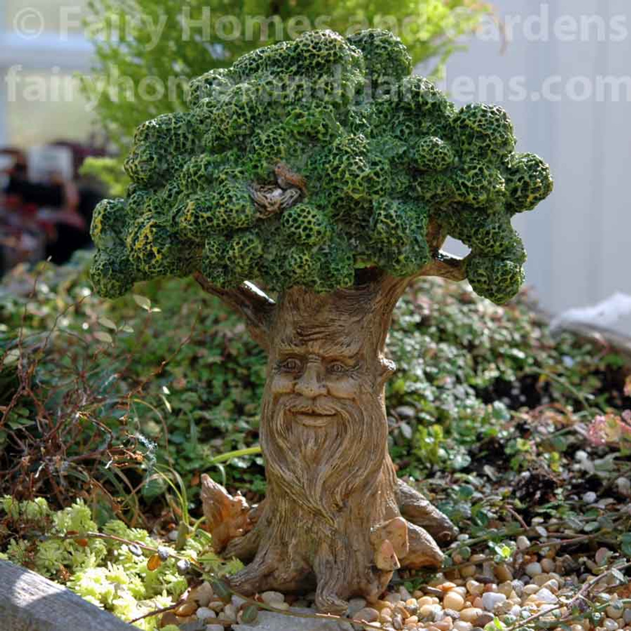Wise Old Tree Fairy Garden Miniature Tree Old Man Face 