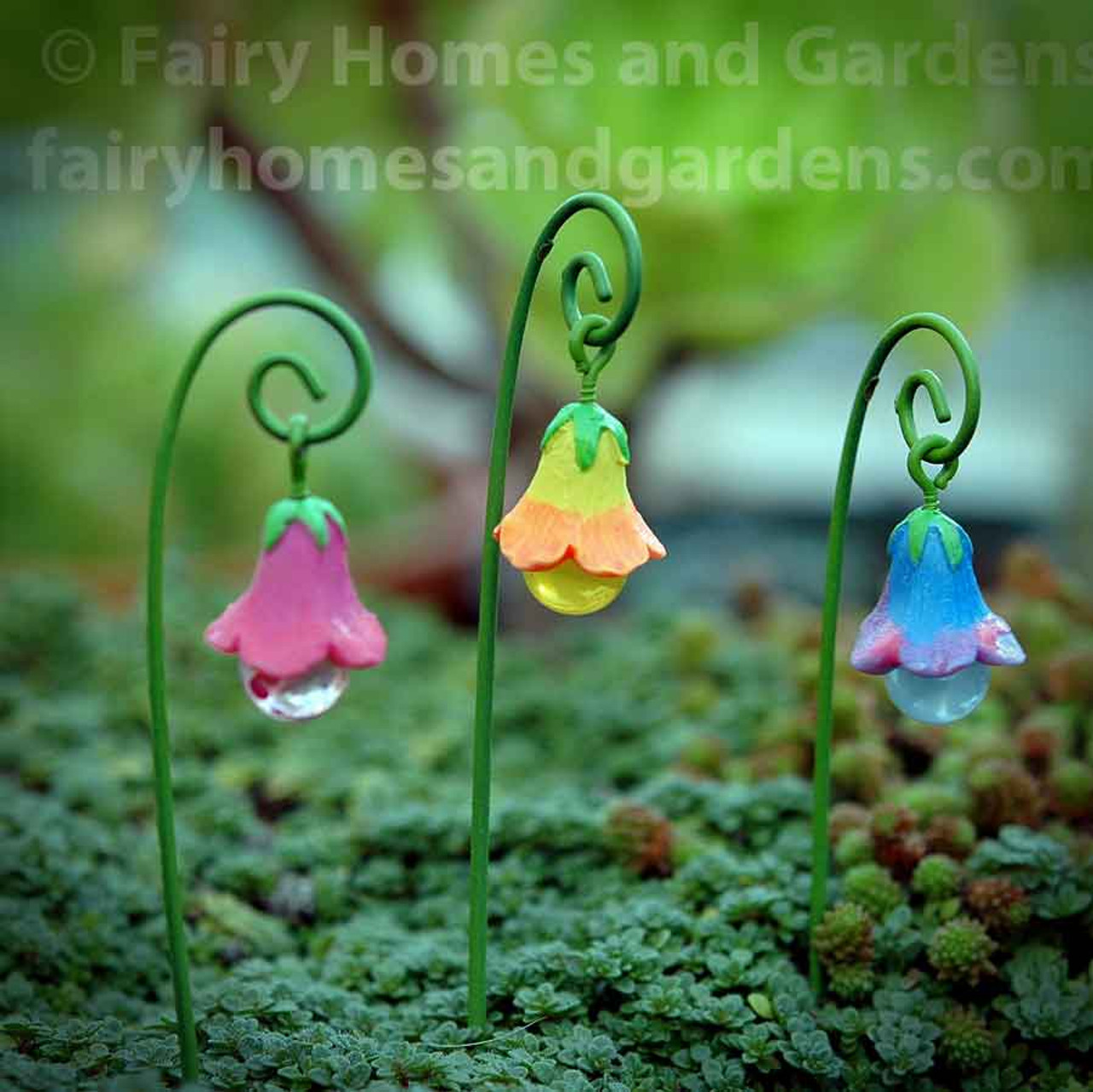 fairy garden plants and flowers