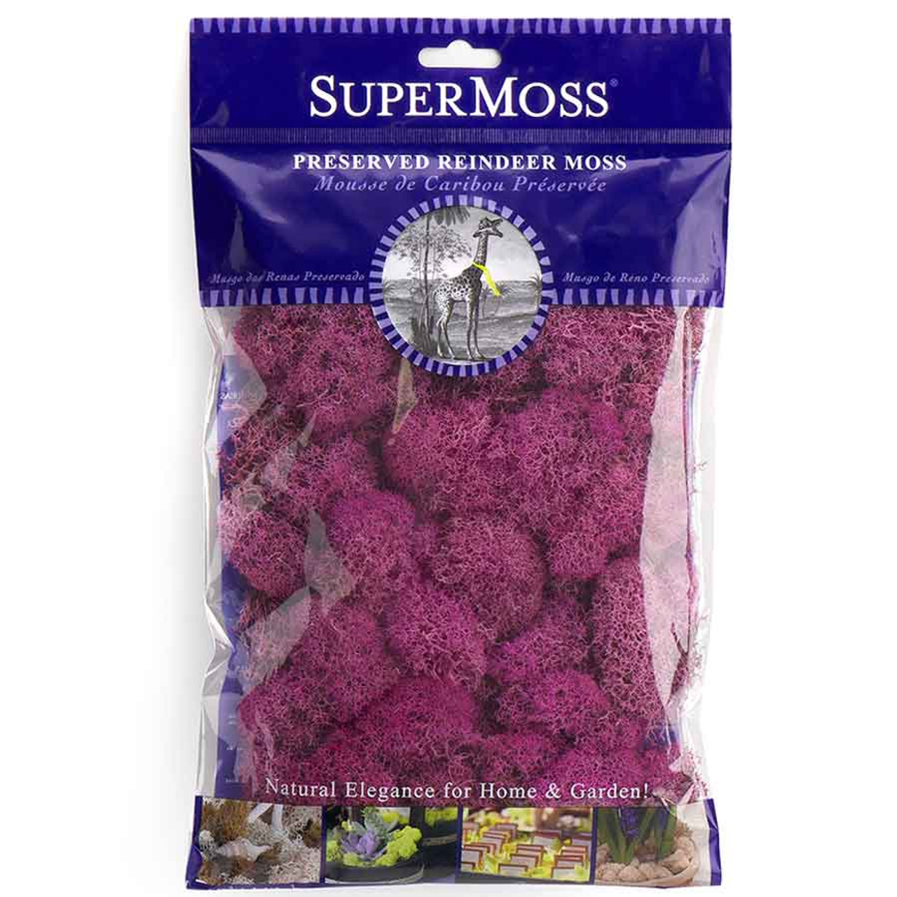 Purple No. 1 Preserved Reindeer Moss – The Artizan Way