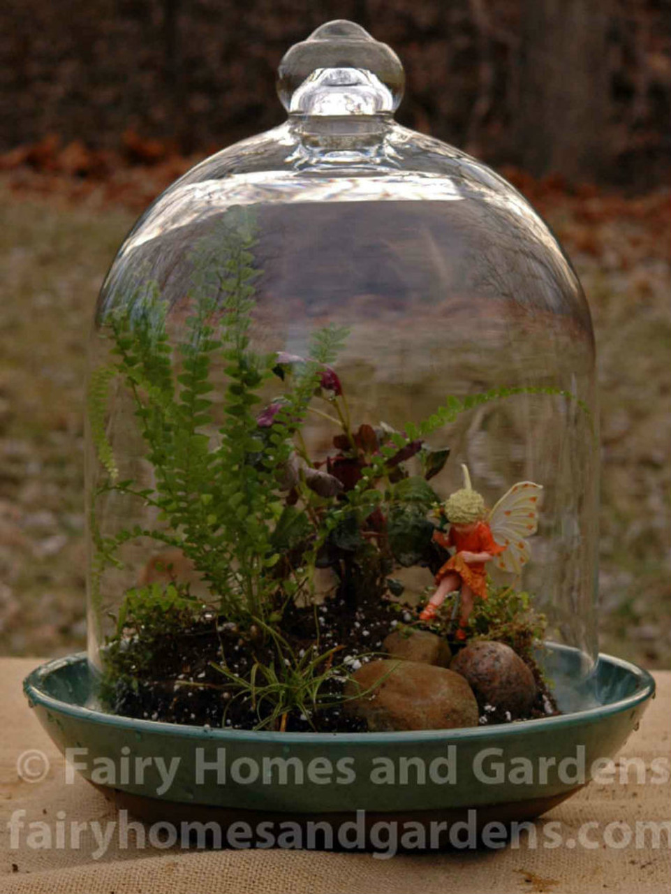 Fairy Garden Terrarium Tutorial